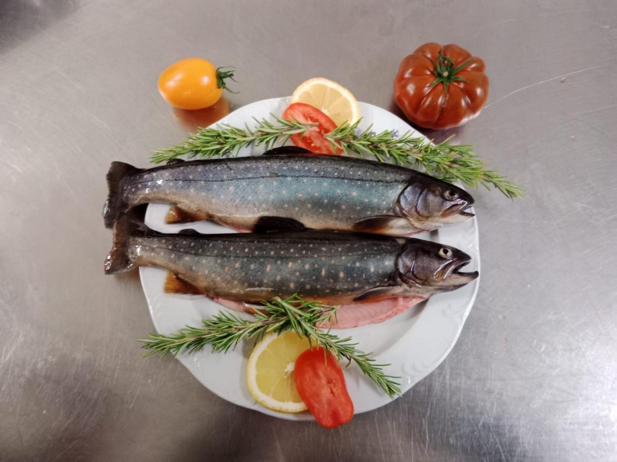 Hotel Waldcafe Neustift im Stubaital Exteriör bild